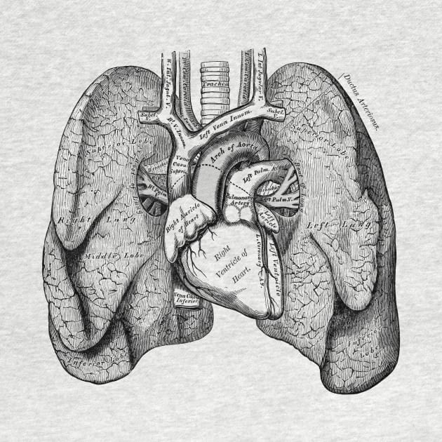 Human Lungs by be yourself. design